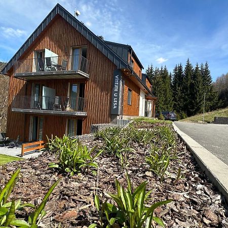Apartmany U Lesa Dolní Morava 外观 照片