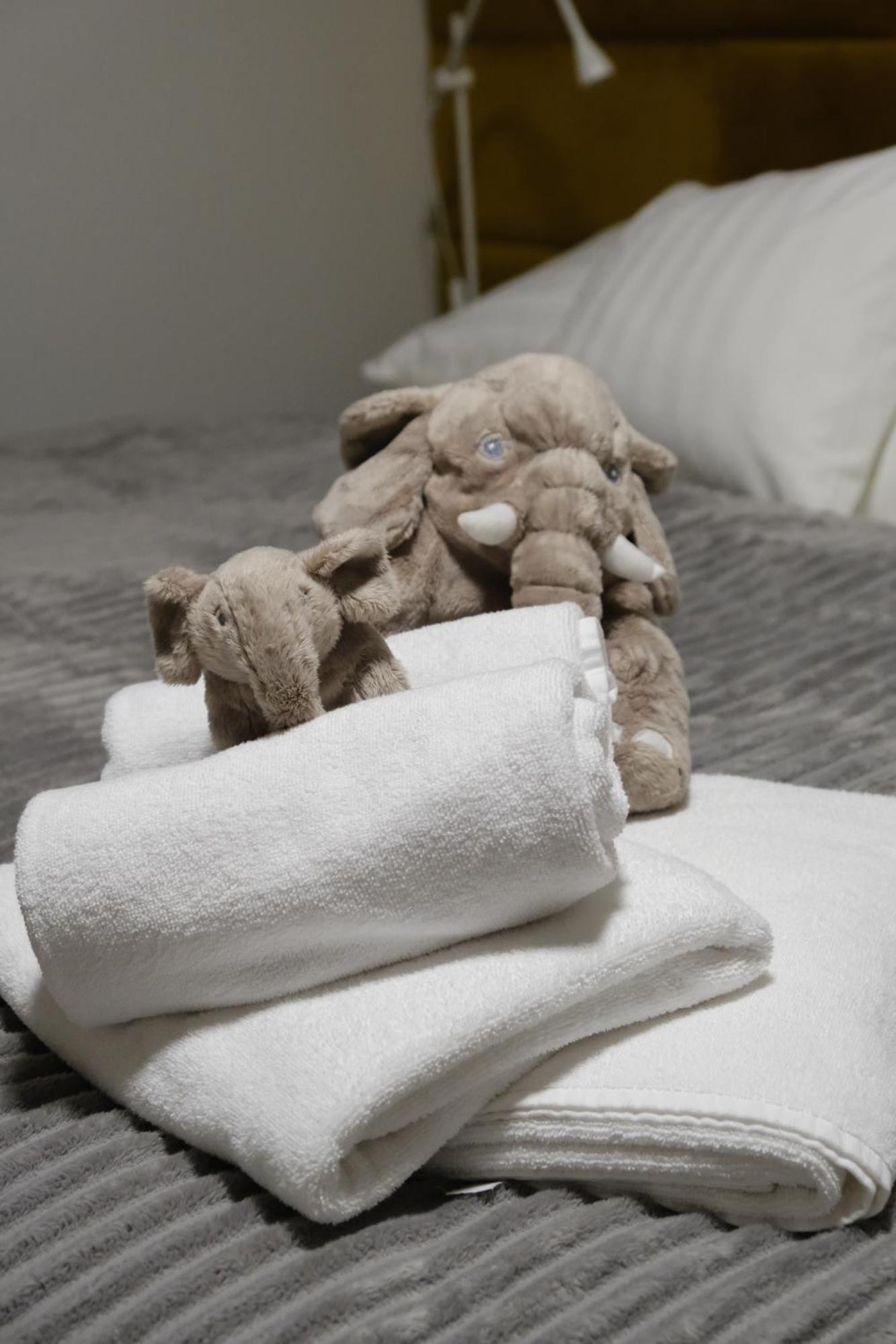 Apartmany U Lesa Dolní Morava 客房 照片