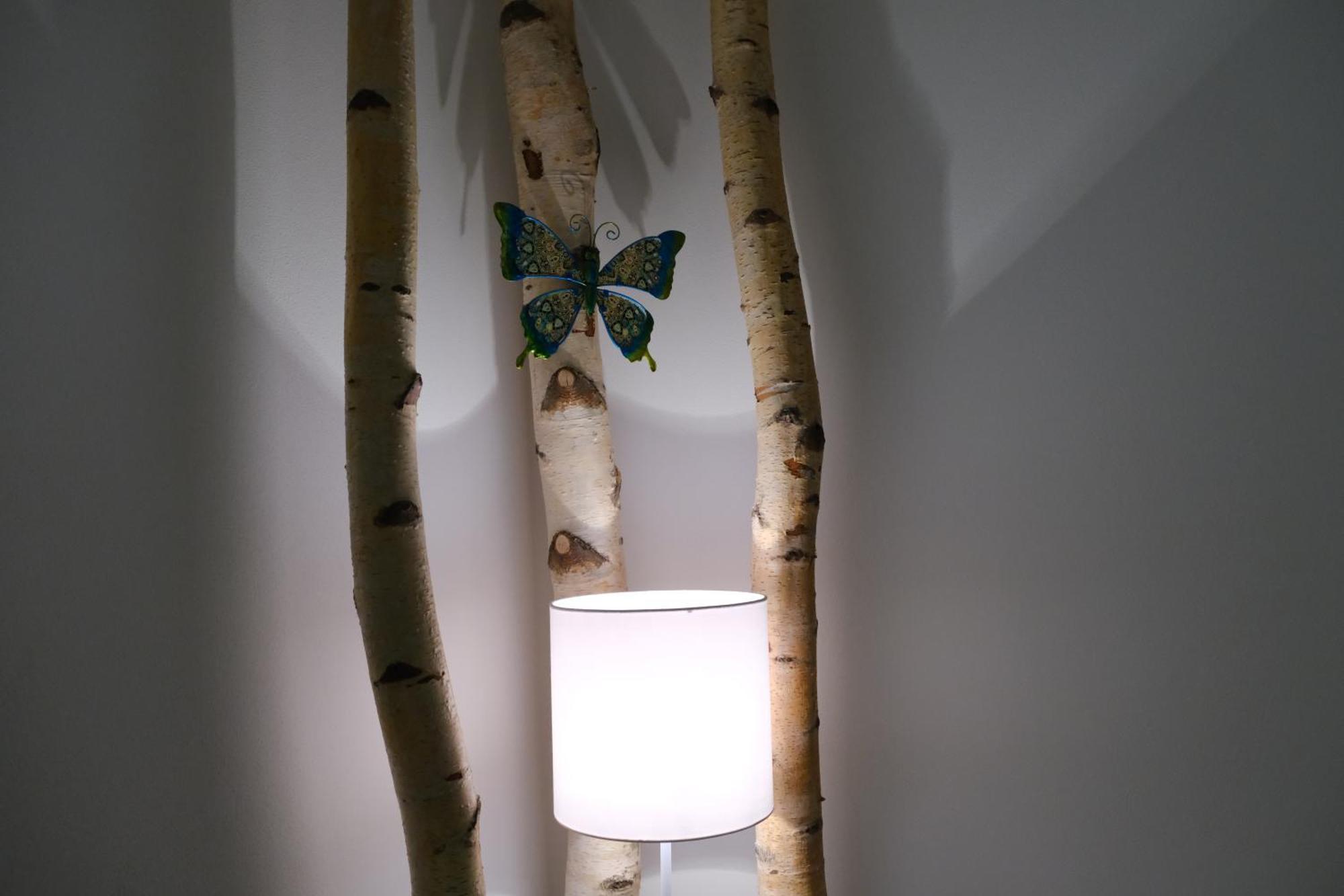 Apartmany U Lesa Dolní Morava 客房 照片