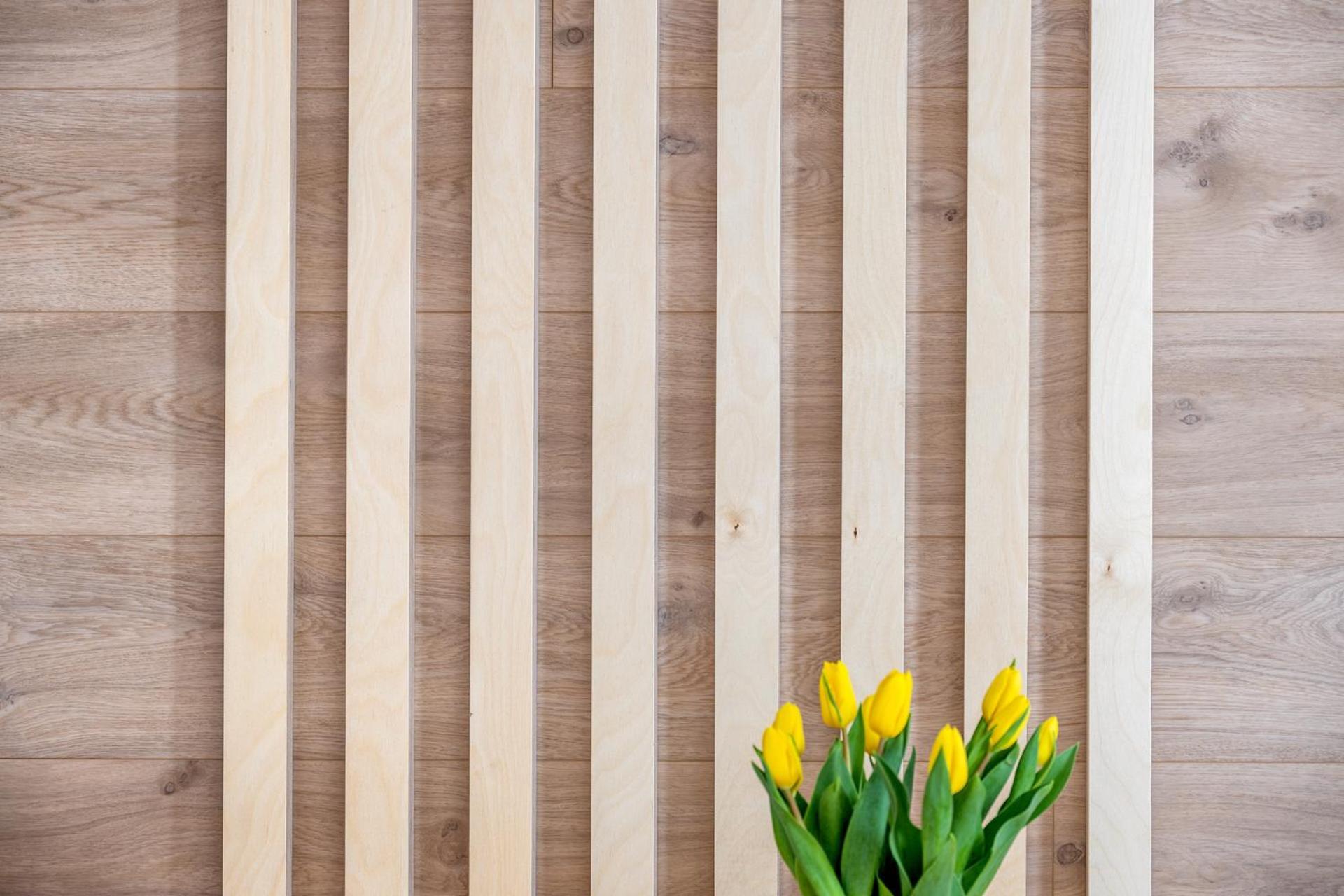 Apartmany U Lesa Dolní Morava 客房 照片
